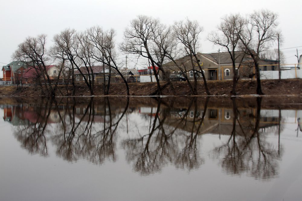 Photograph by Евгения Емельянова