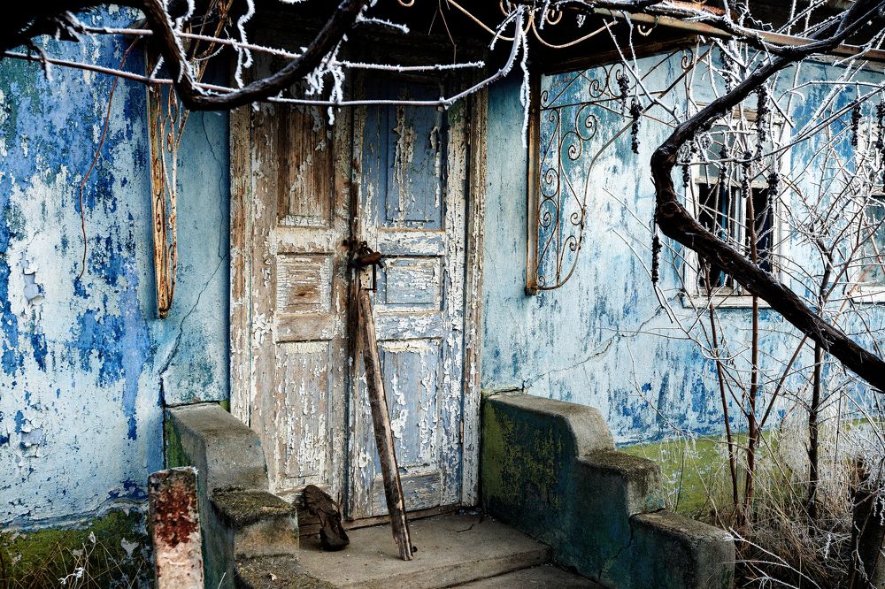 Photograph by Александр Шептикин