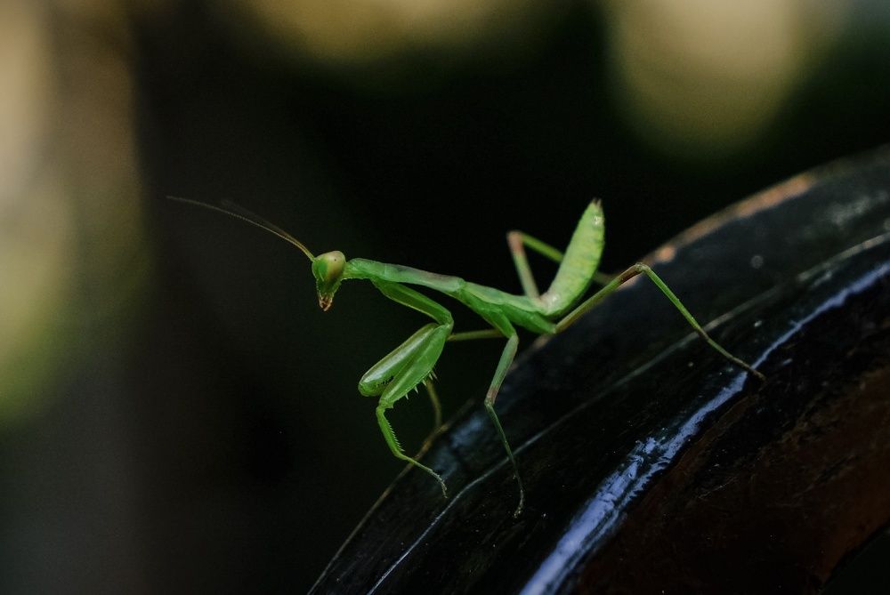 Photograph by Екатерина Загородина