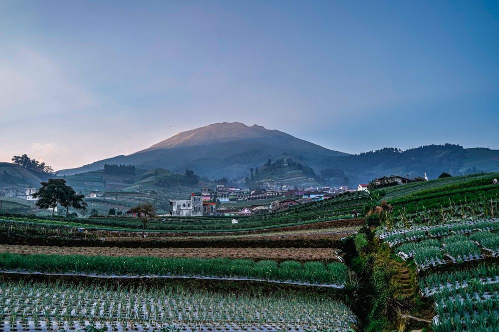 Photograph by Yustiawan