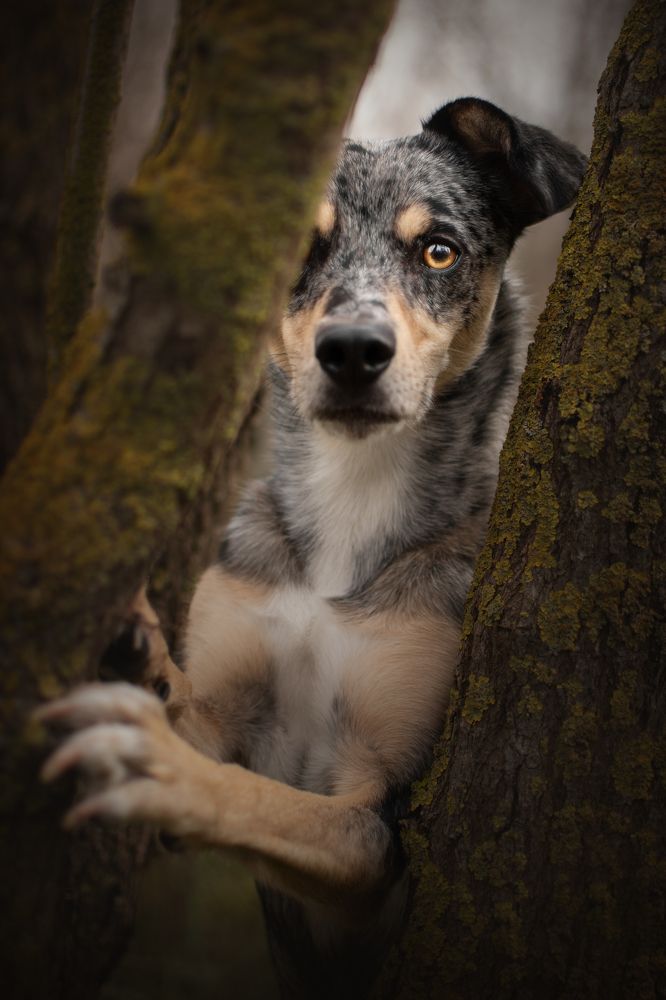 Photograph by leticia pascual garcia