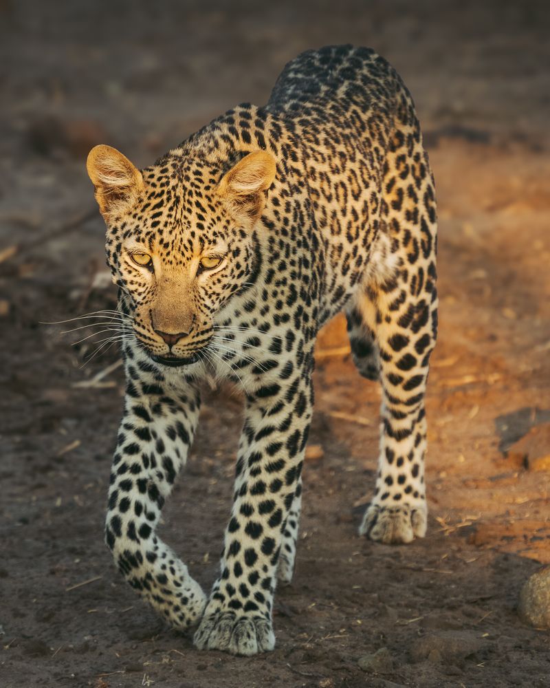 Photograph by Juan Álvarez