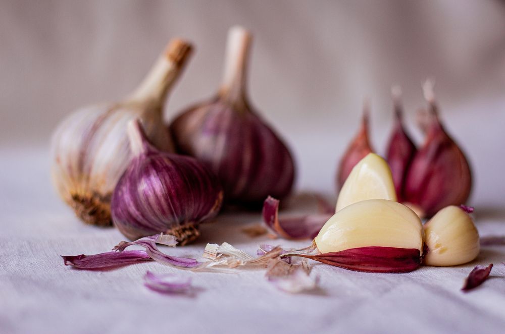 Фотография автора Алла Макаревич