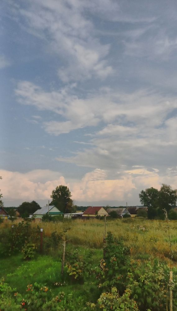 Фотография автора Алла Макаревич