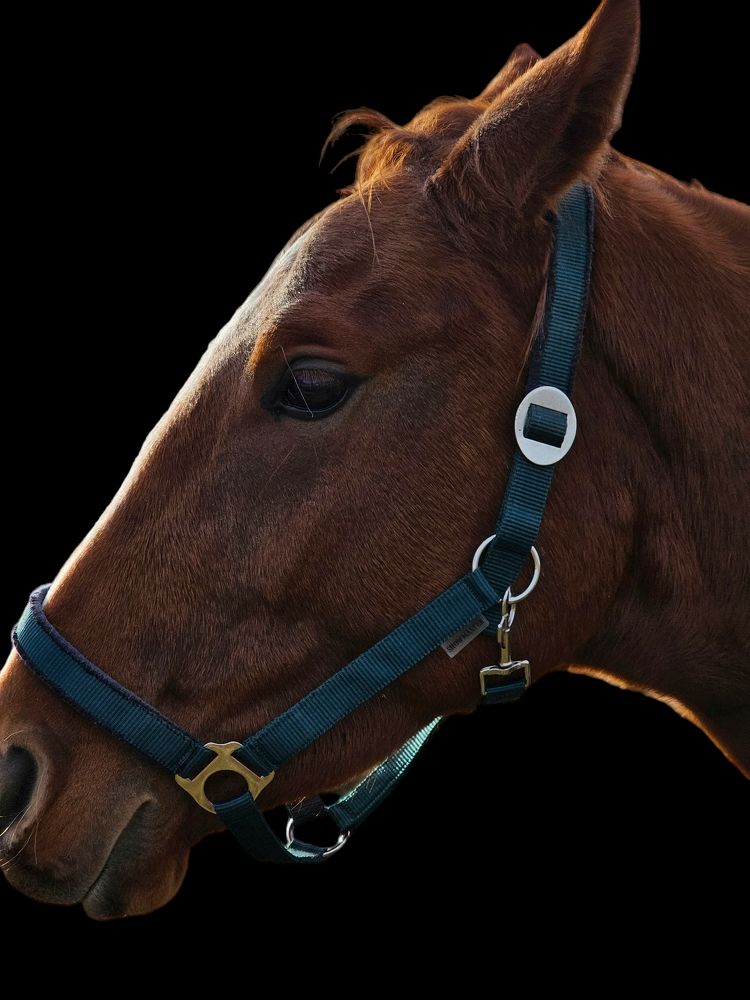 Photograph by Елена Ямнюк