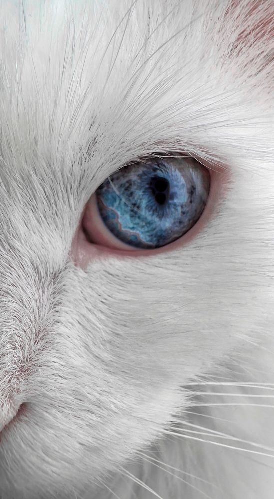 Photograph by Алена Аверкина