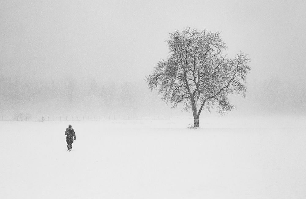 Фотография автора Alex POLLI