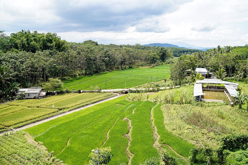 Photograph by Yustiawan