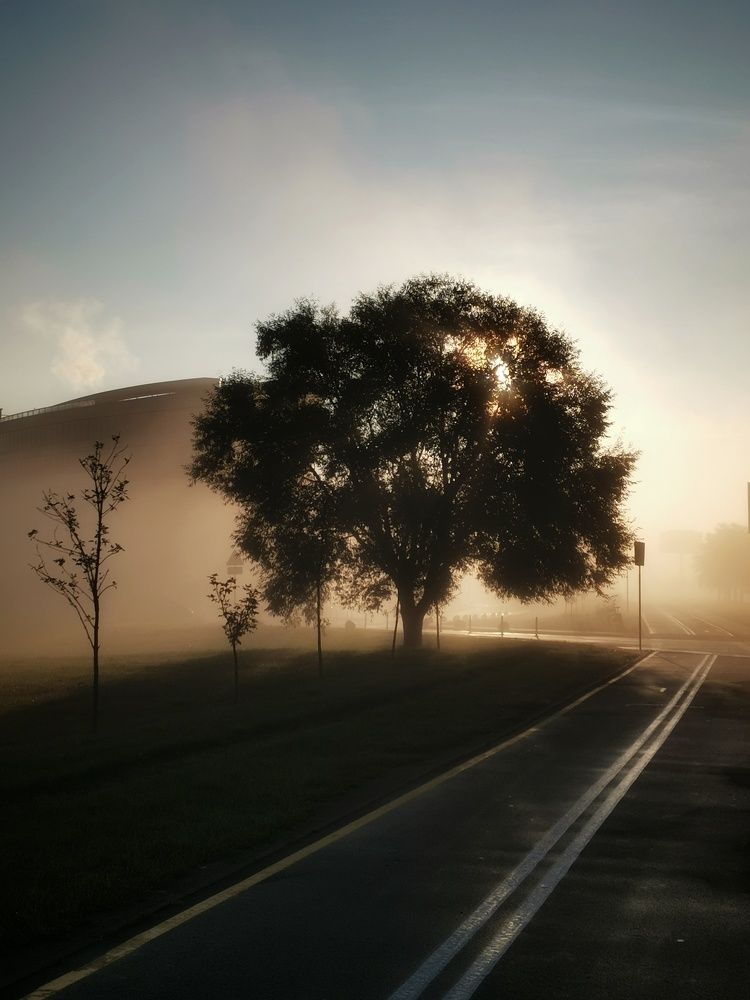 Photograph by Ольга Майстренко