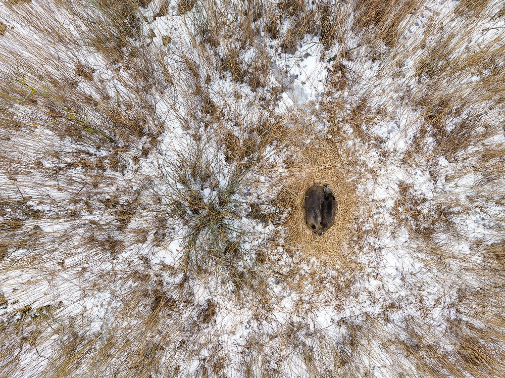 Photograph by Абросимов Александр