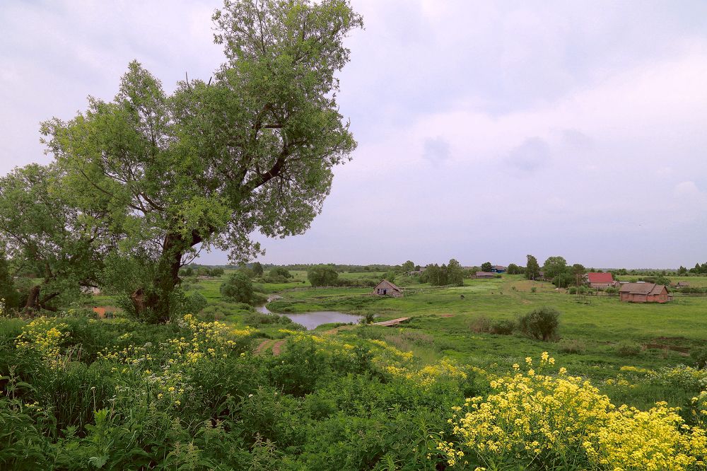 Photograph by Евгений Соколов