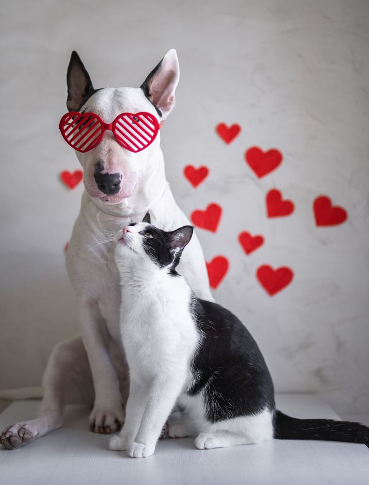 Photograph by Ирина Андрианова