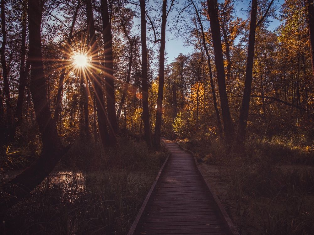 Photograph by Виктория Селютина