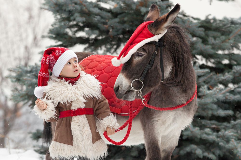 Фотография автора Елена Гордиевская