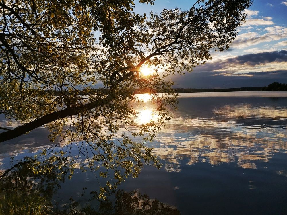 Photograph by Ольга Майстренко