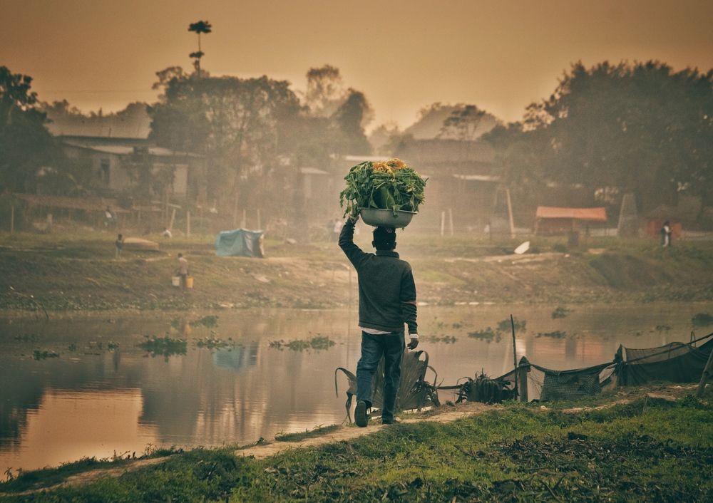 Фотография автора Washiful Majid