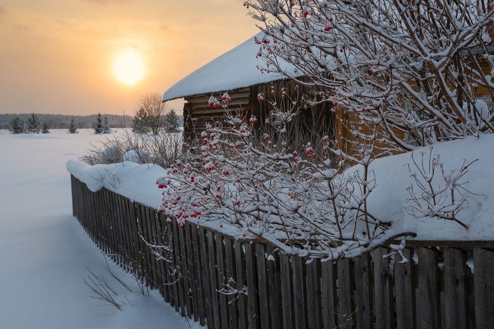 Photograph by Александр Кузнецов