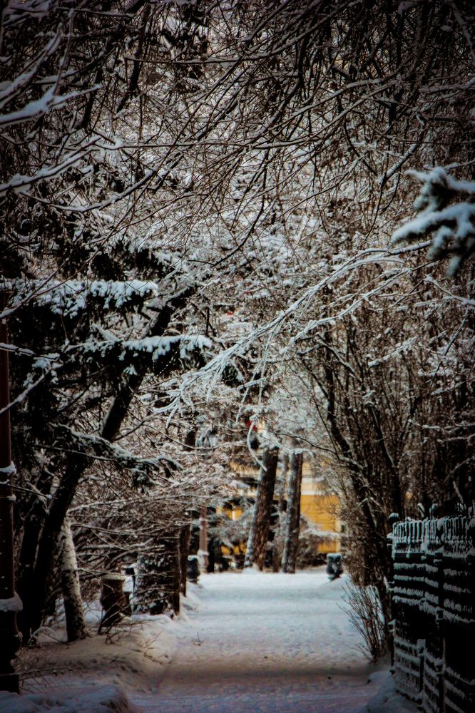Photograph by Владимир Сушкин
