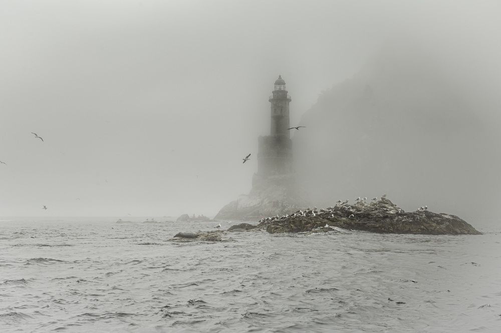 Aniva. The cries of seagulls. Fog...
