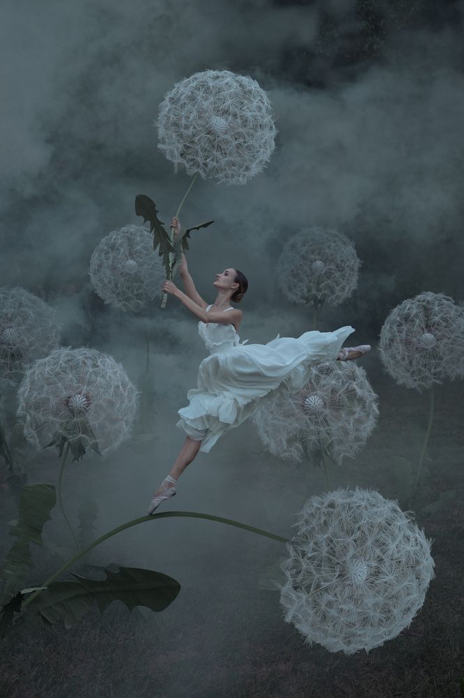 Photograph by Alexei Vladimir