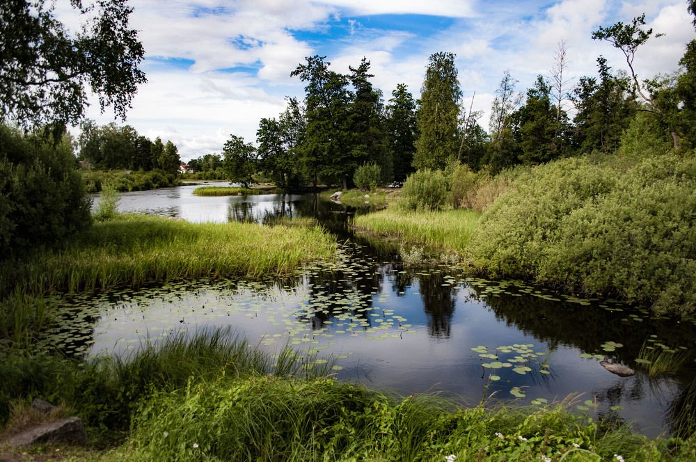 Photograph by Yulia Deimos