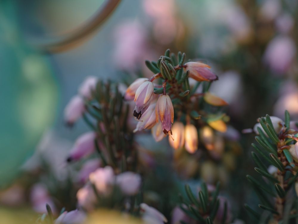 Photograph by Протченко Ирина