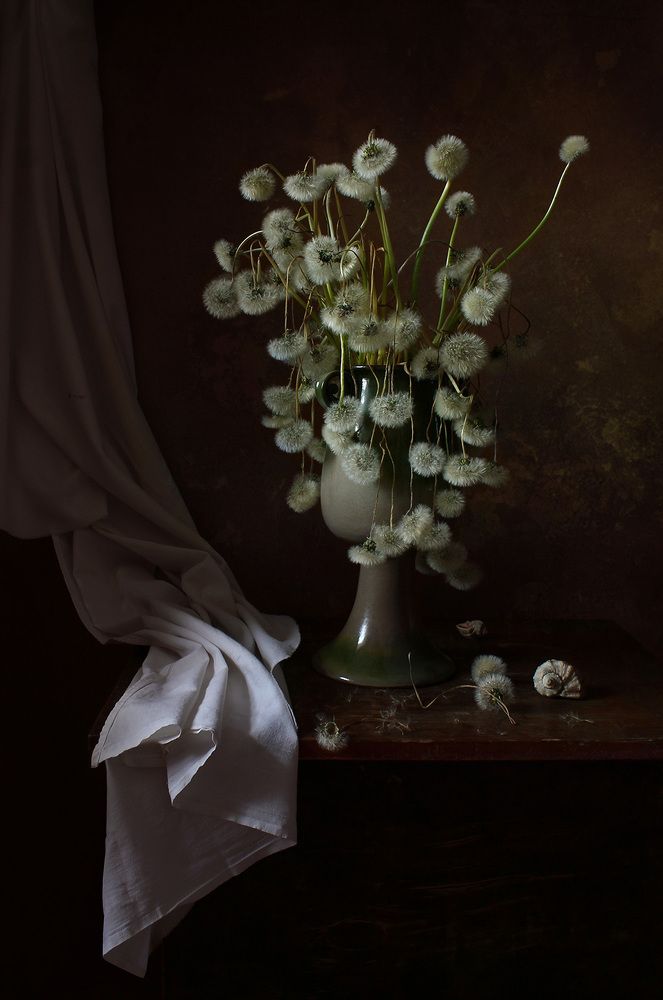 Photograph by Курочкина Диана