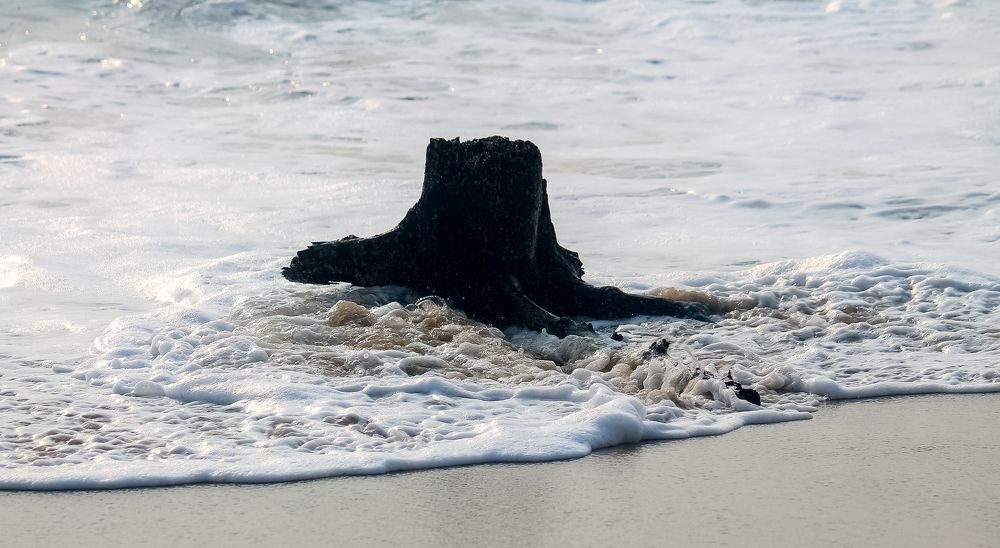 Photograph by Anish Gupta