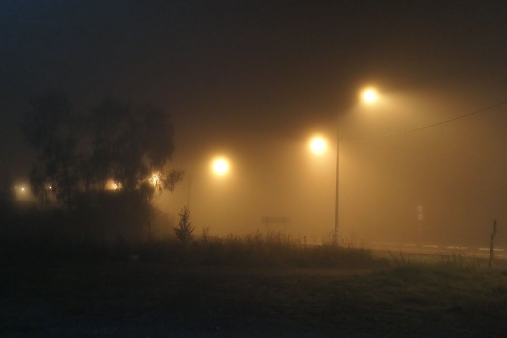 Photo #10218590