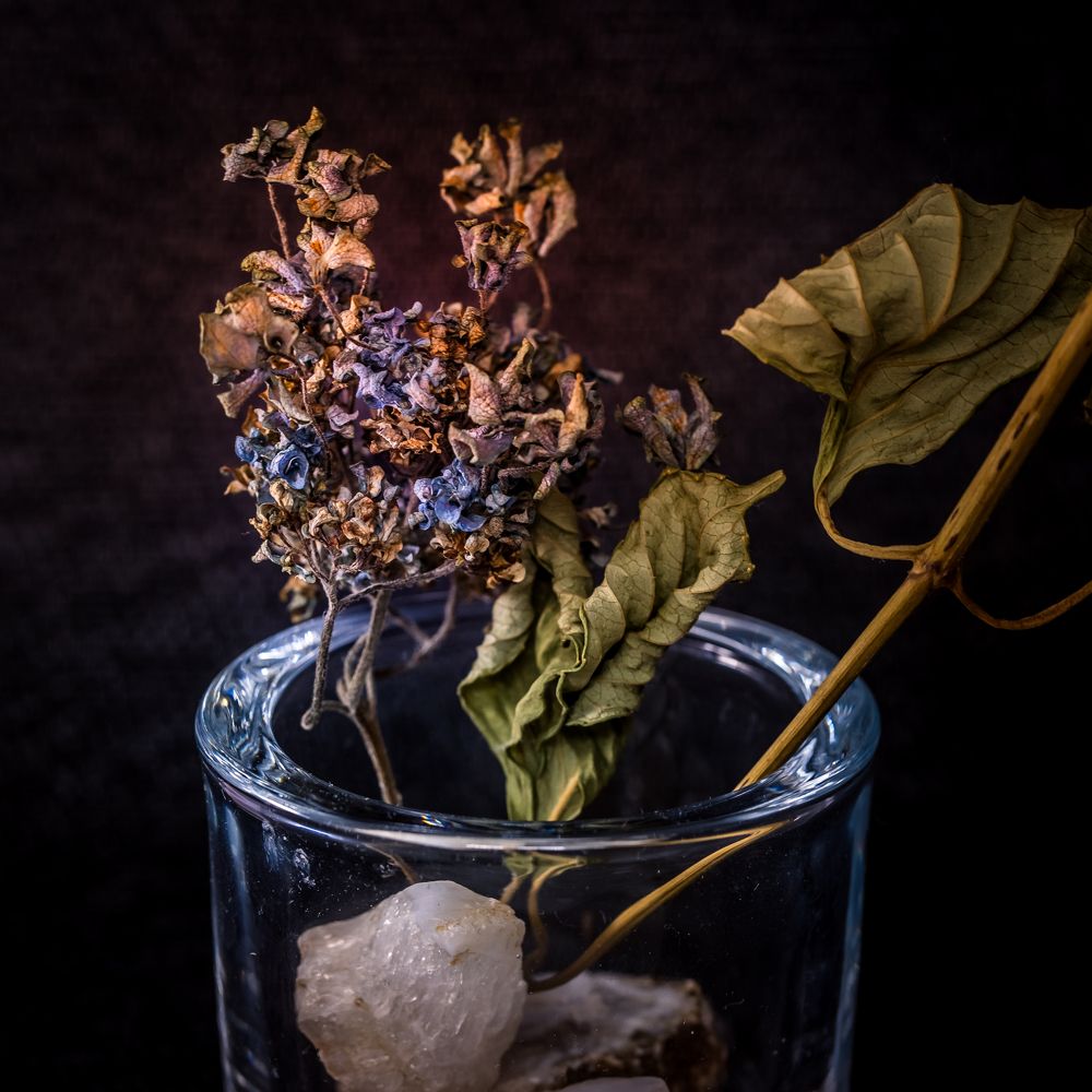 Фотография автора Fumi Taki