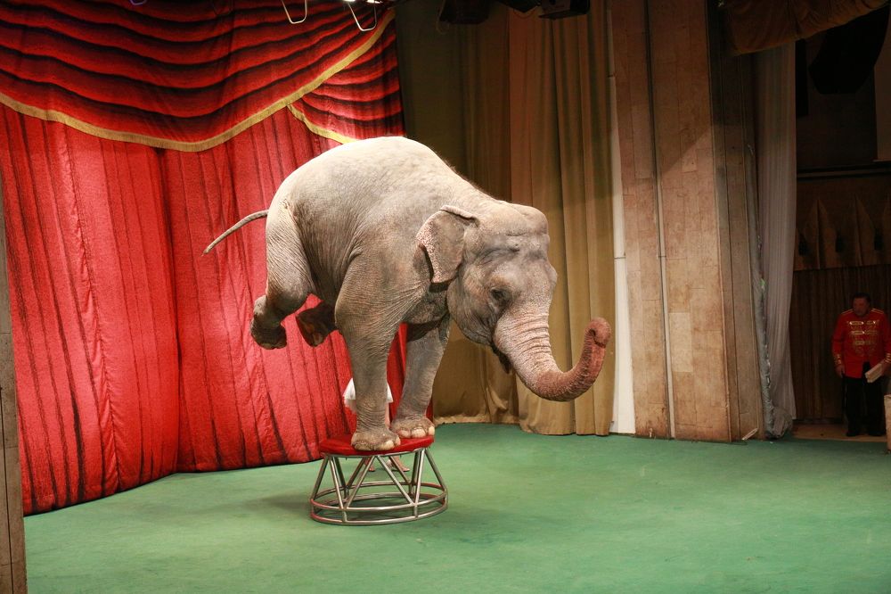 Photograph by Марина Юрченко