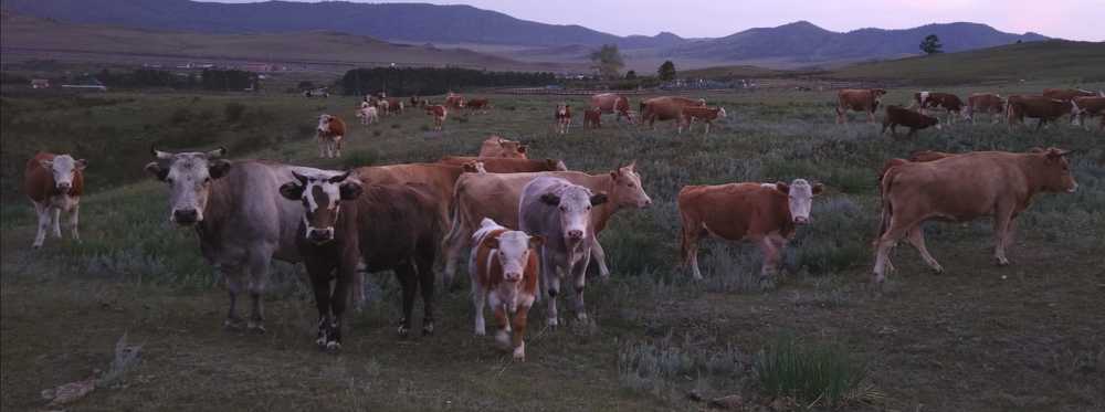 Photograph by Анна Курбатова