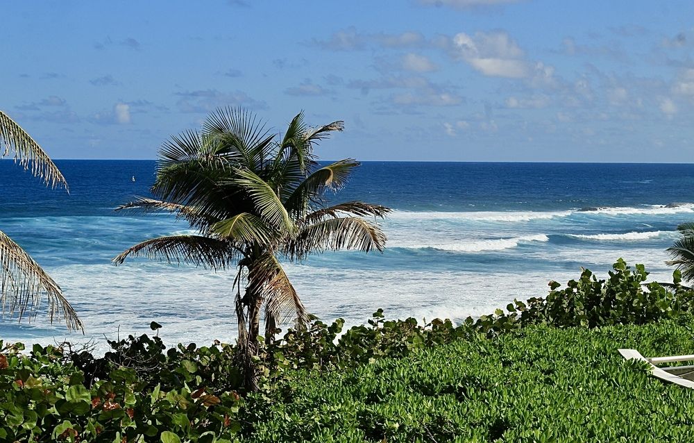 Фотография автора Jose Otero