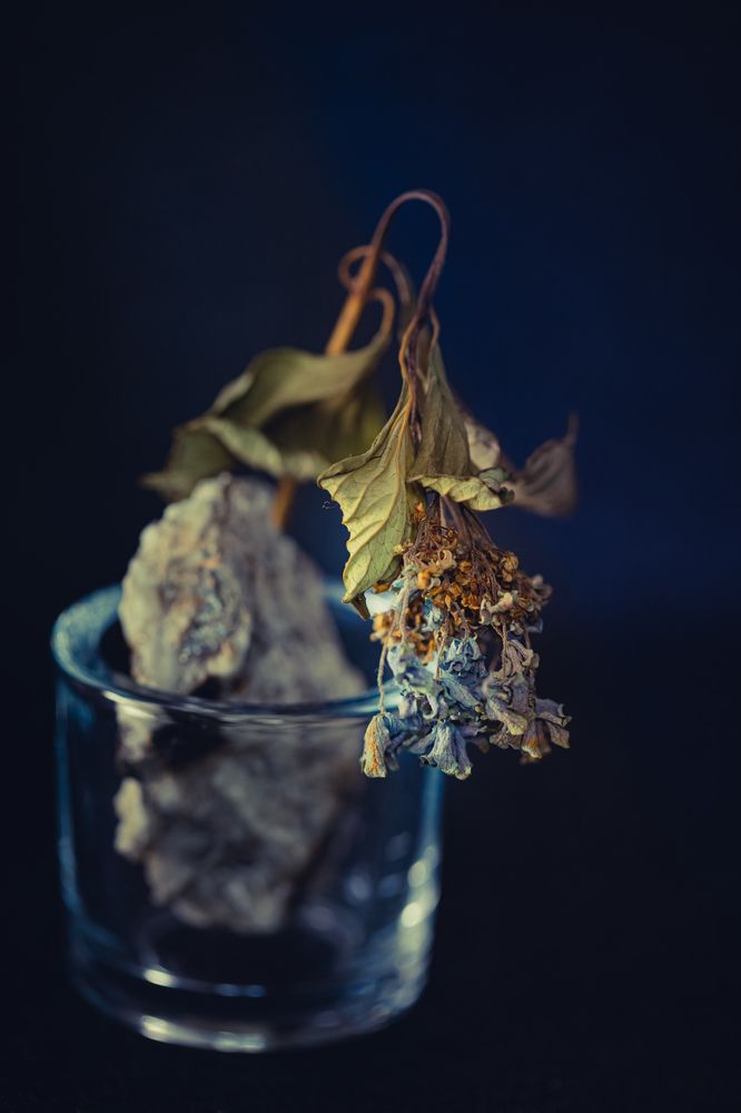 Фотография автора Fumi Taki