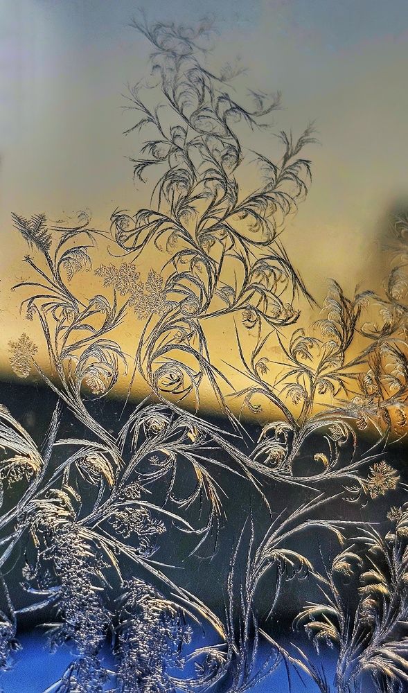 Photograph by Ольга Веселова