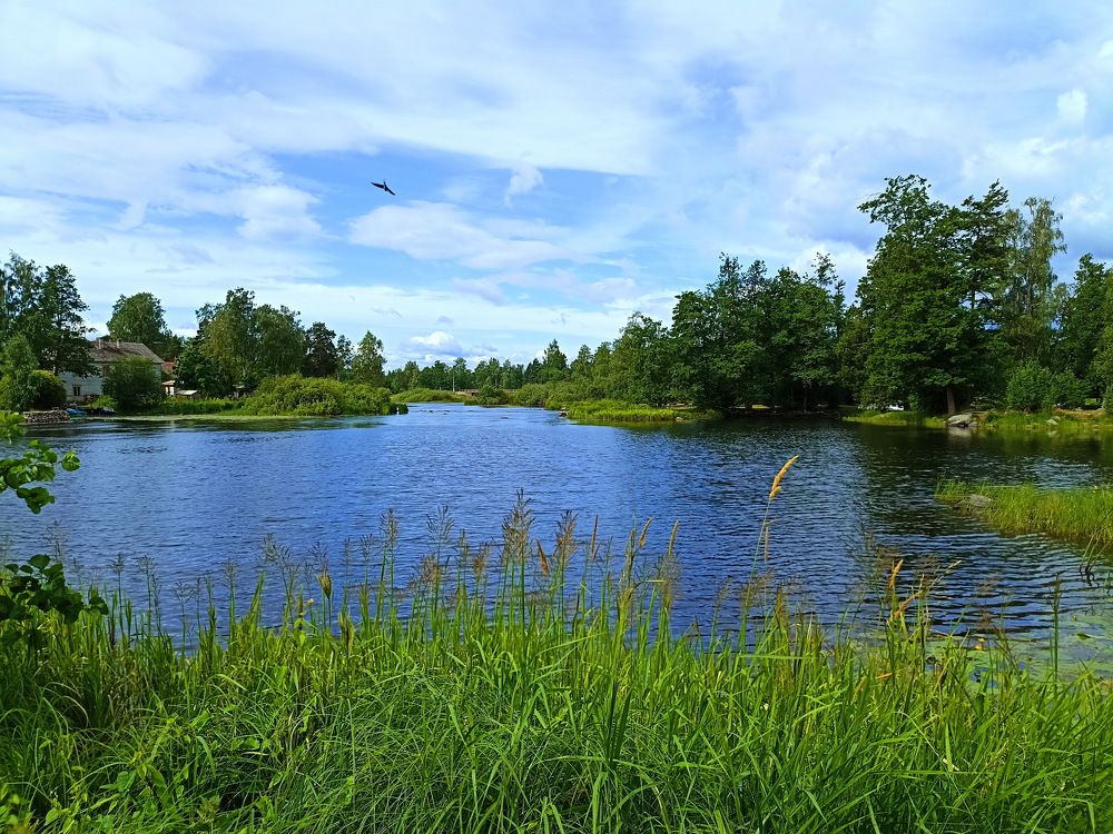 Photograph by Yulia Deimos