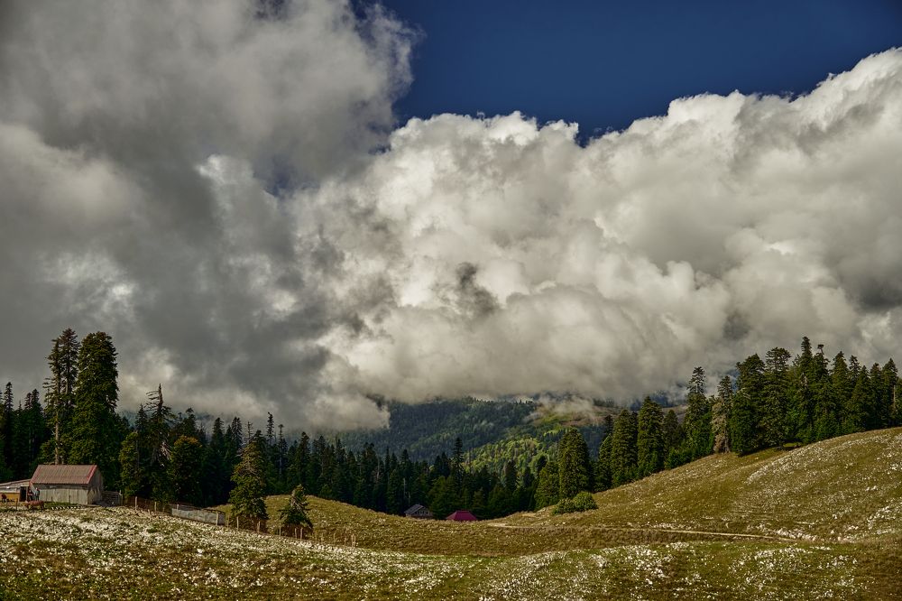 Фотография автора Игорь Игоревич