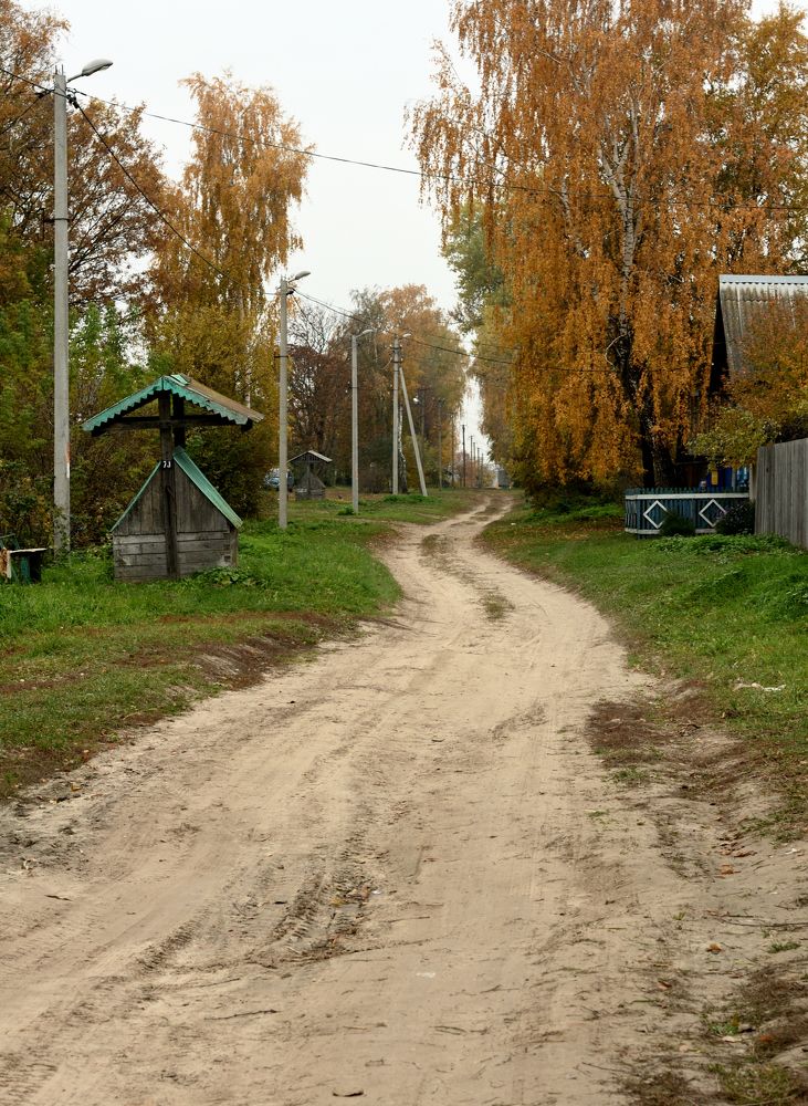 Photograph by Дмитрий Жуков