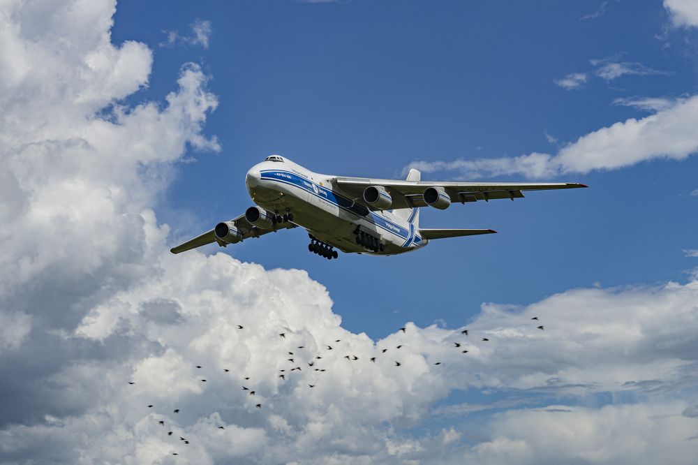 Photograph by Сергей Чупахин