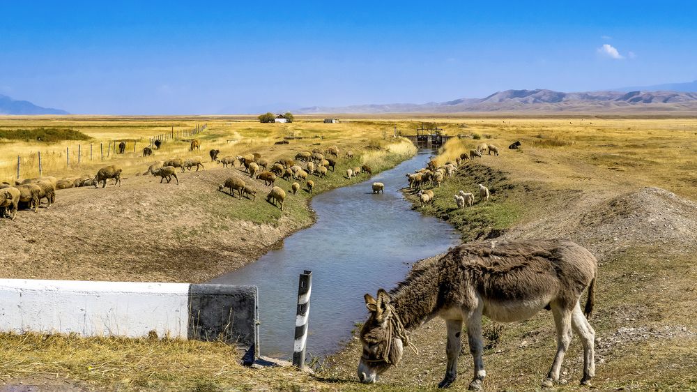 Photograph by Vladimir Tugalev