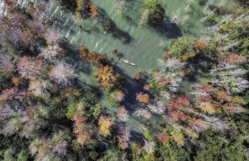 Photograph by NGUYEN HAI