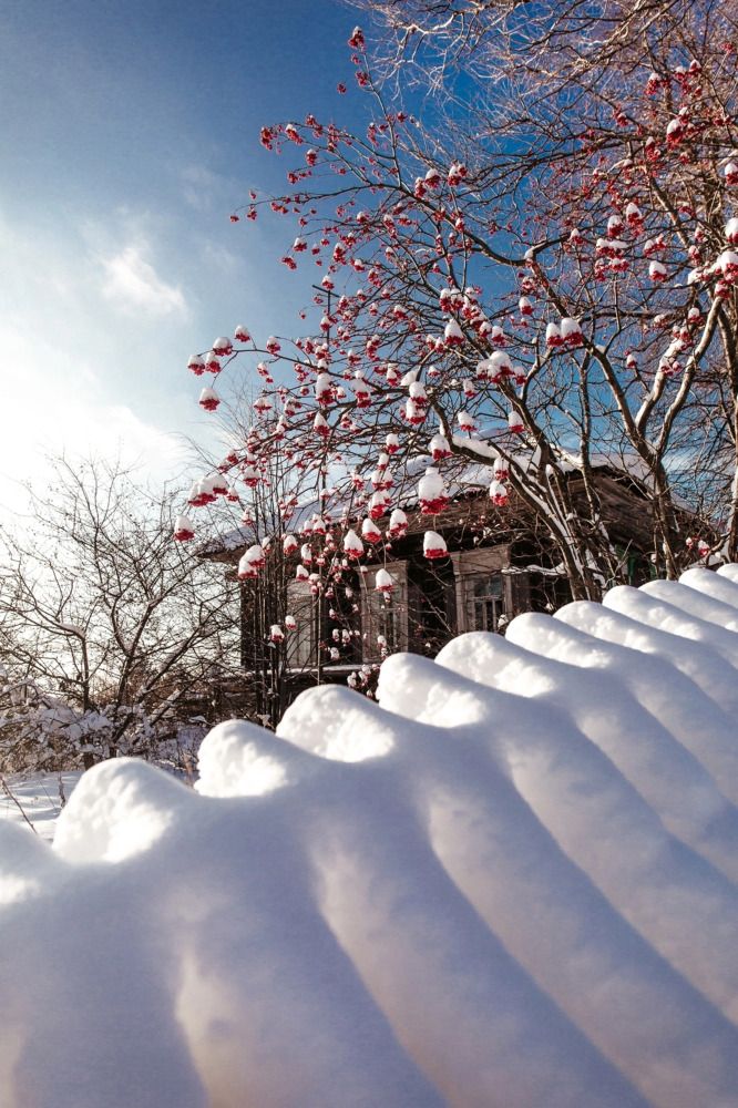 Photograph by Анастасия Голубева