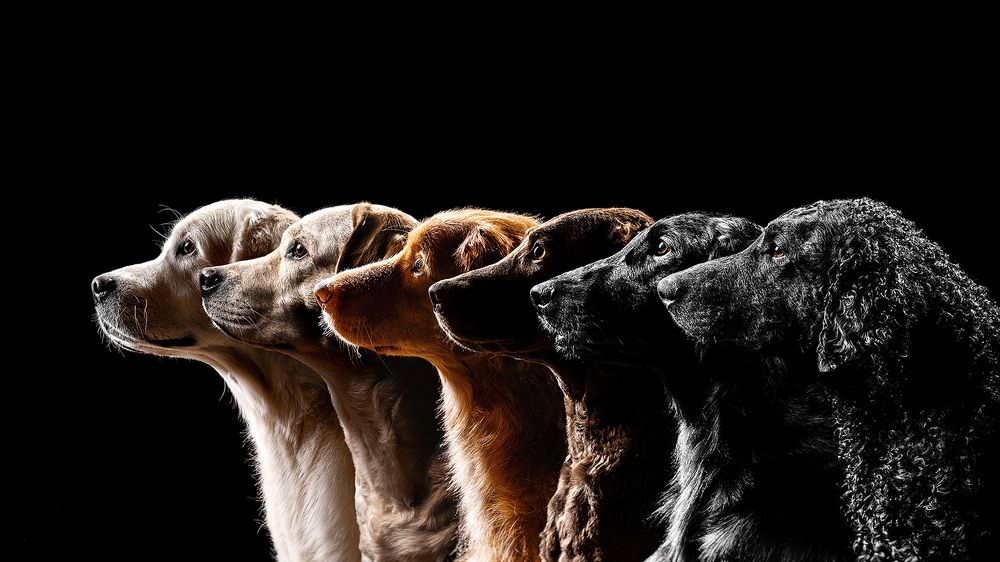 Фотография автора Оксана Серова