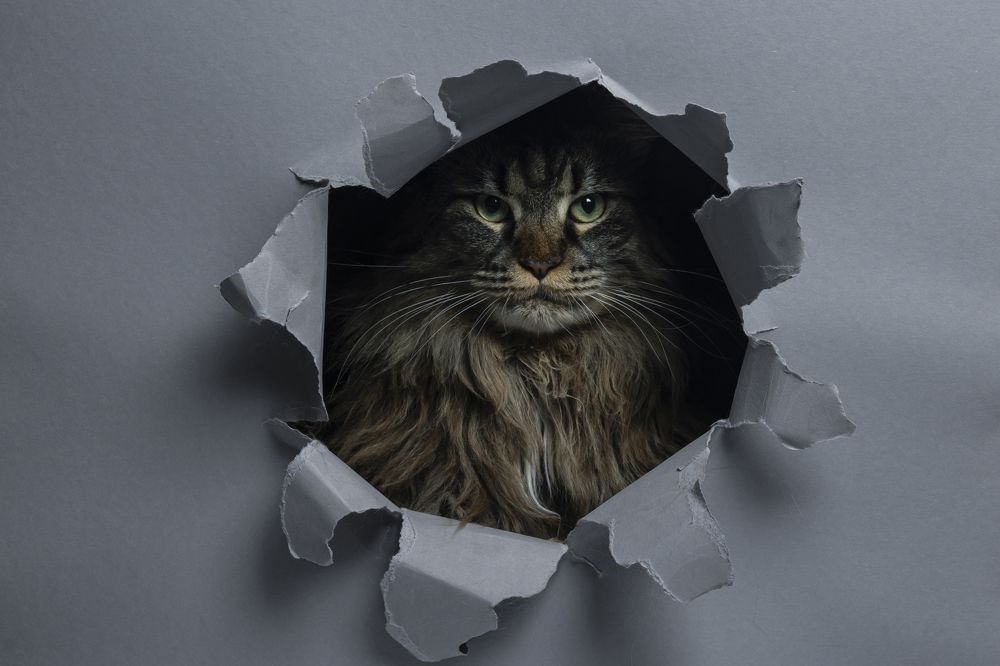 Photograph by Сергей Чупахин