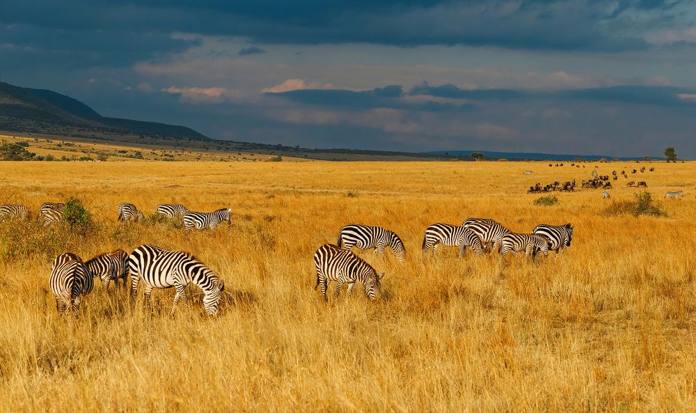 Photograph by Serebrov Uyriy