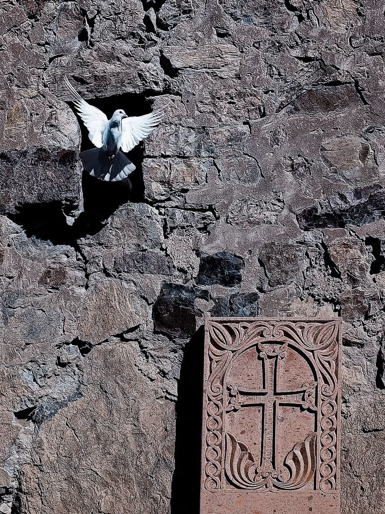 Photograph by Татьяна Шевелева