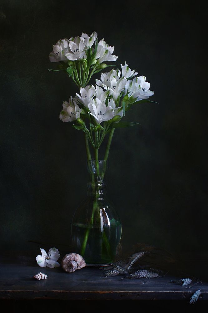 Photograph by Курочкина Диана