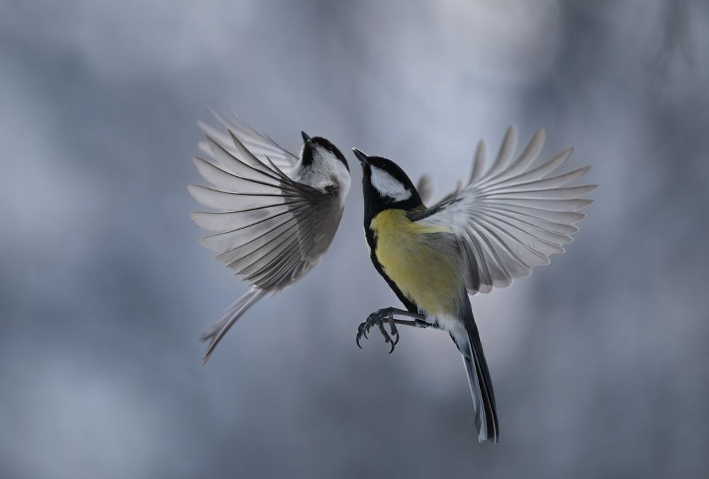 Photograph by Баранов Олег