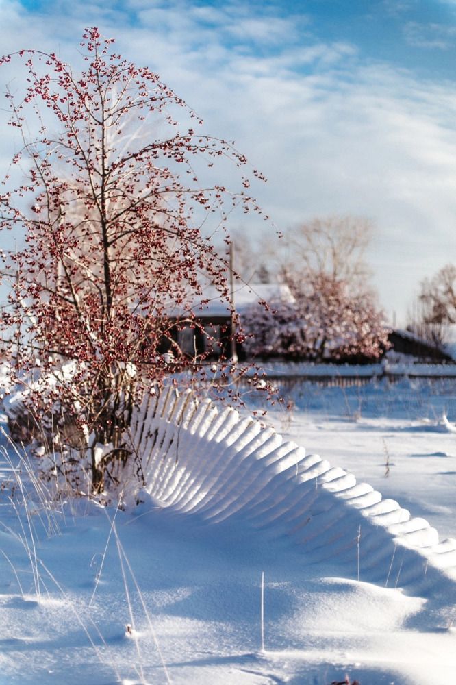 Photograph by Анастасия Голубева