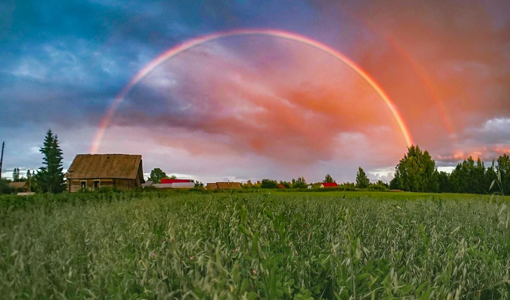 Photograph by Татьяна Шандромайло